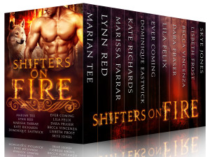 Shifters on Fire Box